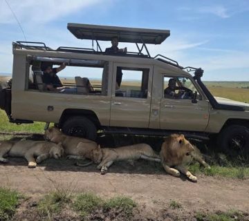Safari vehicle with photographers beside resting lions on a Tanzania photography safari from Arusha