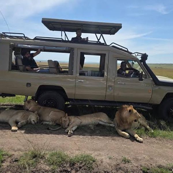 Safari vehicle with photographers beside resting lions on a Tanzania photography safari from Arusha