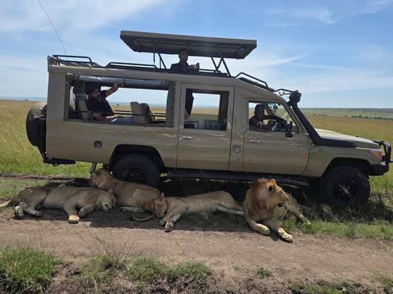 Safari vehicle with photographers beside resting lions on a Tanzania photography safari from Arusha