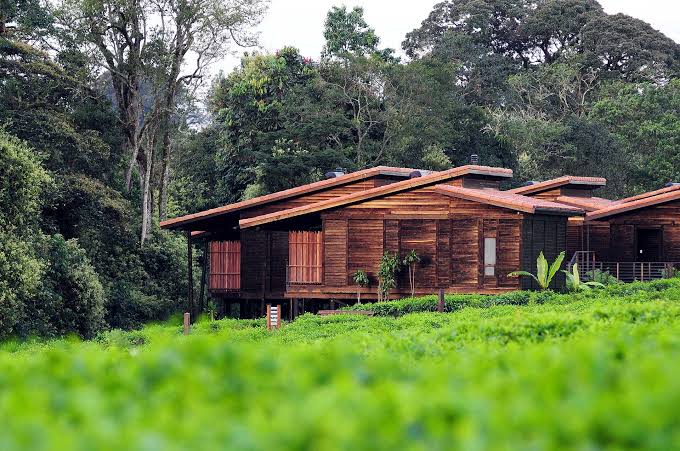 Birding lodge near Nyungwe Forest surrounded by lush rainforest and scenic mountain landscapes