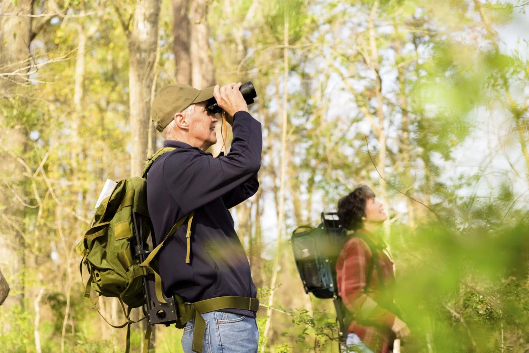 Local guide leading visitors through Uganda wetlands while identifying colorful native bird species