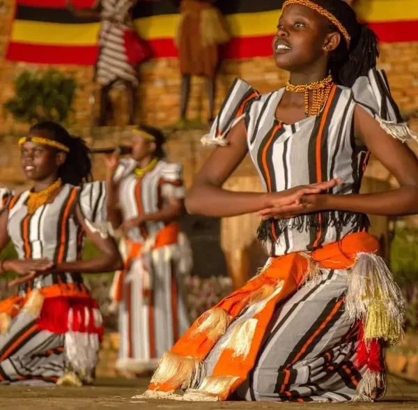 East Africa's Top Birding Festivals and Events