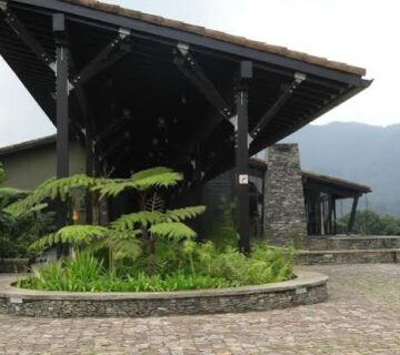 Best Birding Lodges Near Nyungwe Forest