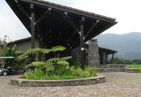 Best Birding Lodges Near Nyungwe Forest