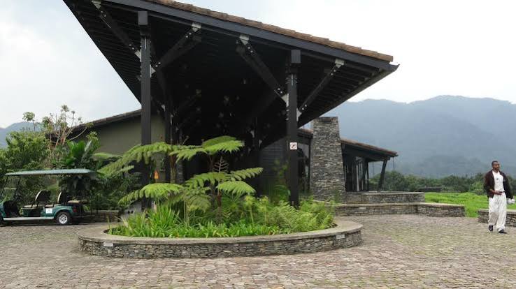 Best Birding Lodges Near Nyungwe Forest
