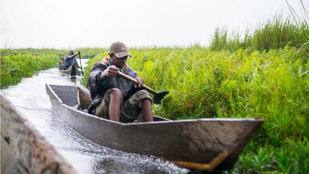 Guides Canoe and Community Fees: Mabamba Explained