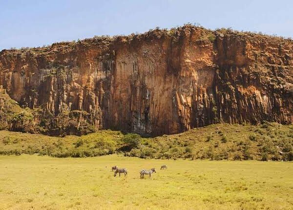 Hell's Gate National Park: Raptors and Cliff Nesting Birds