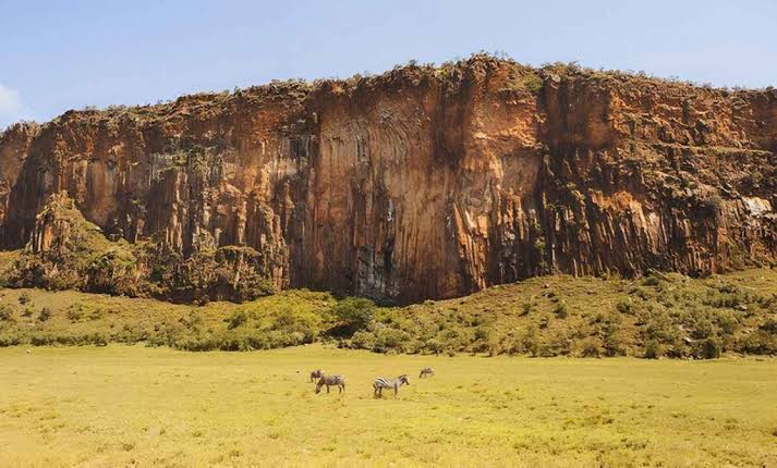 Hell's Gate National Park: Raptors and Cliff Nesting Birds