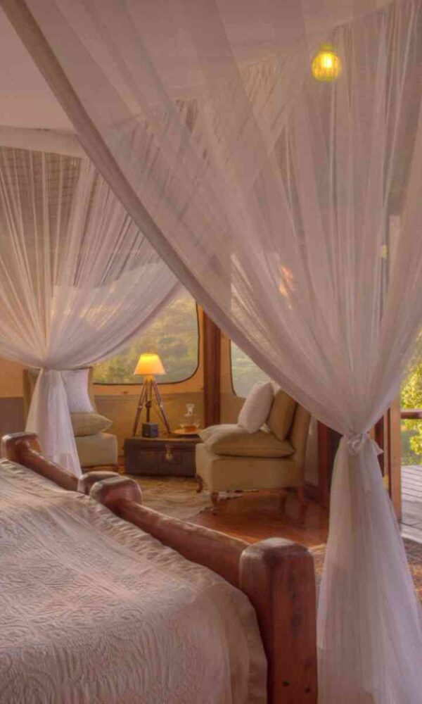 Kenya's Best Birding Lodges and Camps for 2026