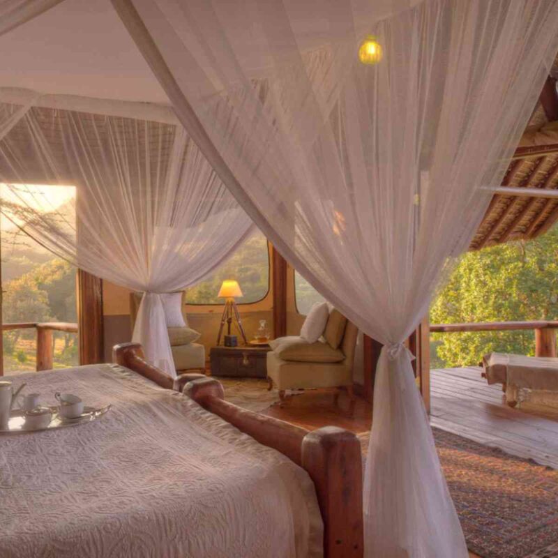 Kenya's Best Birding Lodges and Camps for 2026