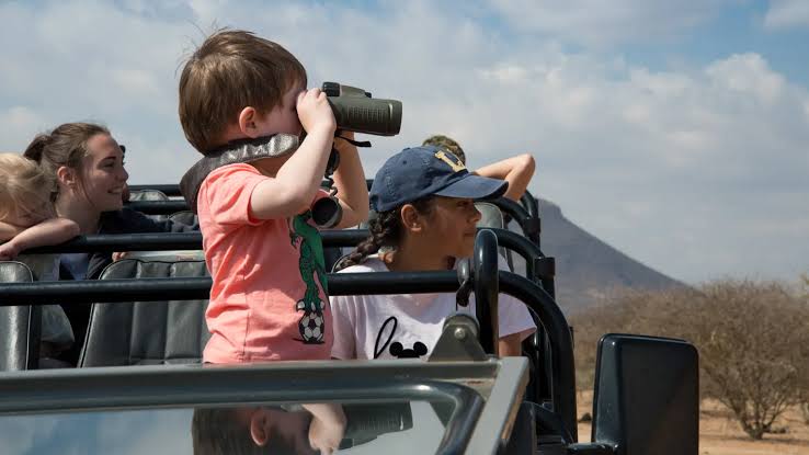 Kids enjoying birding while observing colorful birds in a peaceful natural wetland