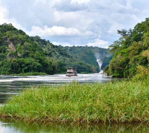 Boat cruise on the Nile near Lake Albert, Uganda