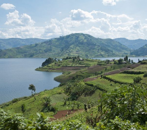 Terraced hillsides above Lake Bunyonyi, southwestern Uganda