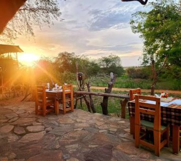 5 Uganda Lodges With the Best Shoebill Access