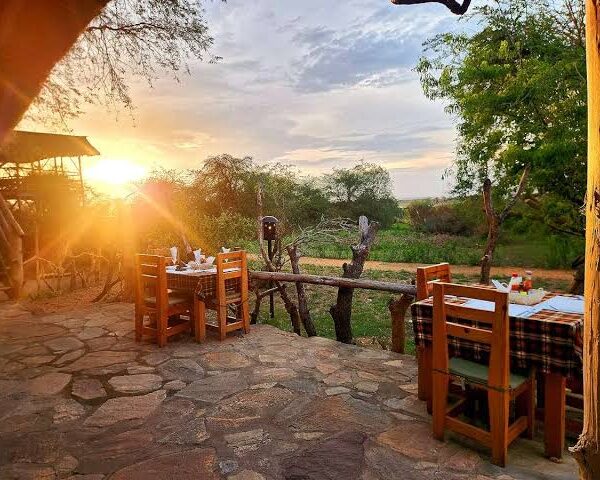 5 Uganda Lodges With the Best Shoebill Access