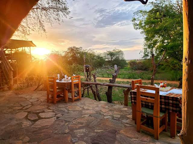 5 Uganda Lodges With the Best Shoebill Access