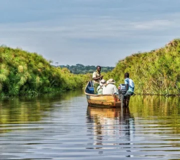 Patience, wetlands, shoebill encounters and unforgettable travel inspiration forever 