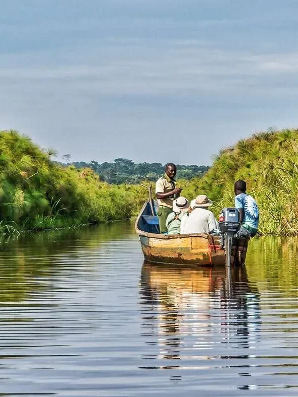Patience, wetlands, shoebill encounters and unforgettable travel inspiration forever 