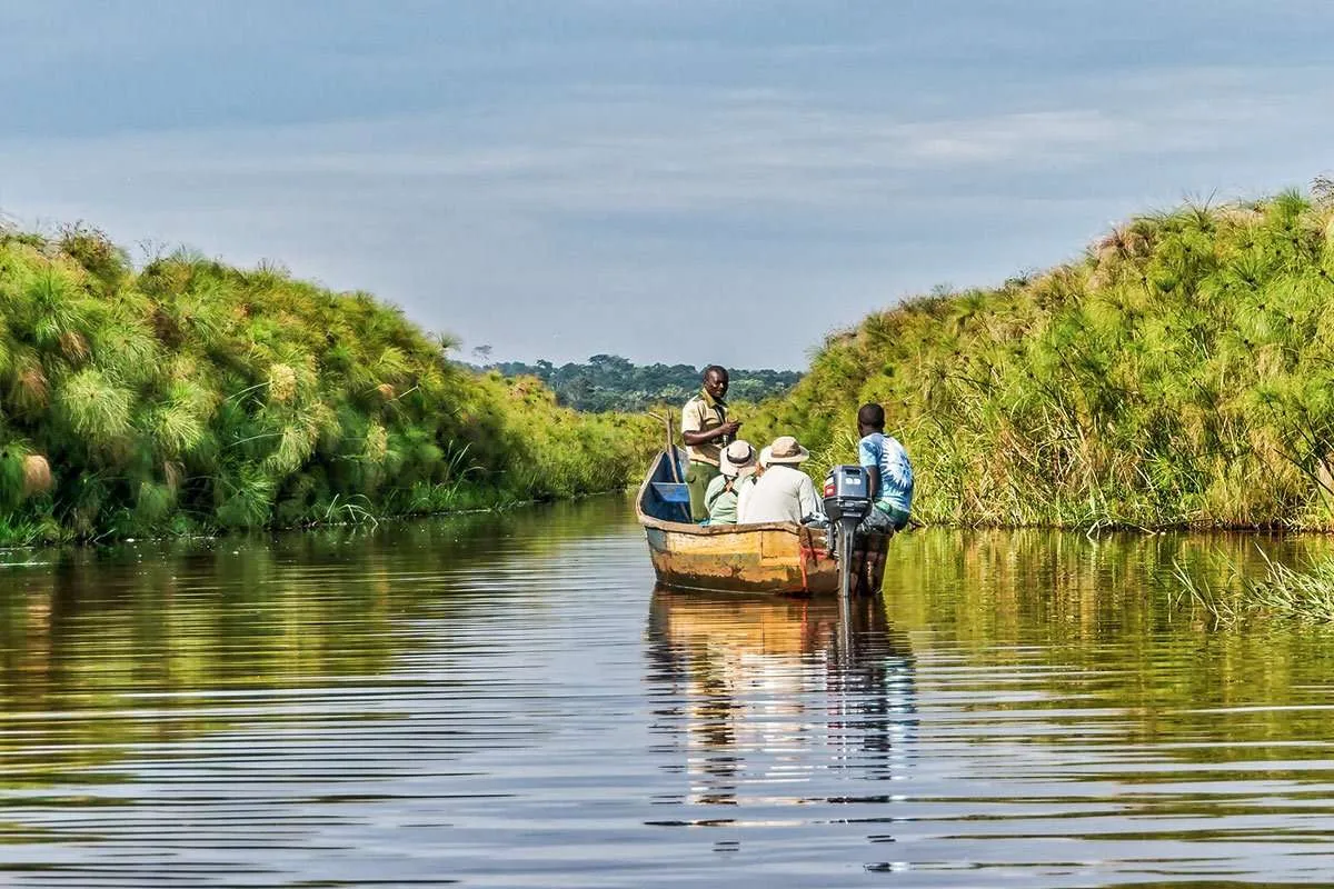 Patience, wetlands, shoebill encounters and unforgettable travel inspiration forever 