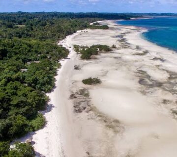 Pemba Island: Tanzania's Underrated Birding Escape