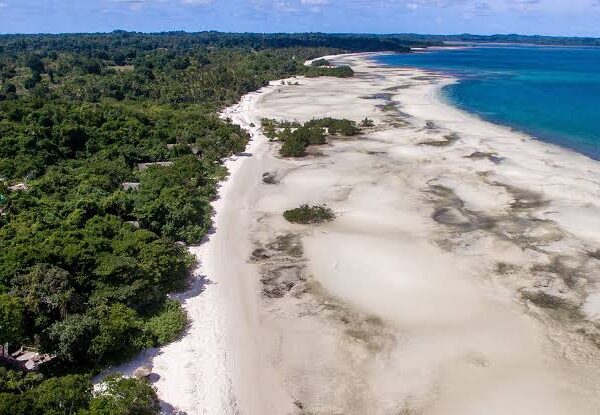 Pemba Island: Tanzania's Underrated Birding Escape
