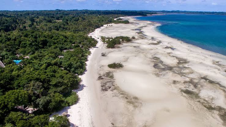 Pemba Island: Tanzania's Underrated Birding Escape