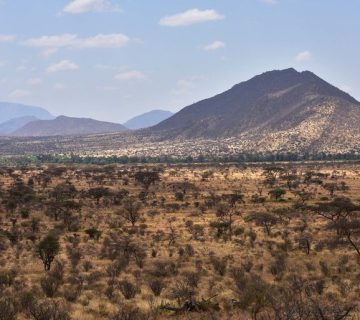 Arid savannah landscape of Samburu National Reserve, Kenya