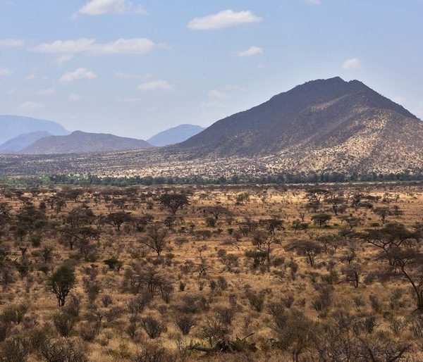 Arid savannah landscape of Samburu National Reserve, Kenya