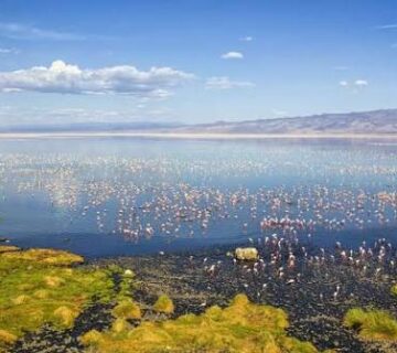 Kenya's Great Rift Valley Lakes: A Birding Circuit