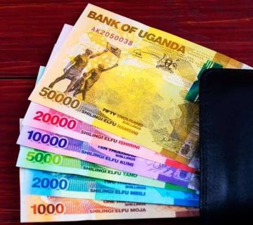 Ugandan shilling banknotes for budgeting a Rushaga sector gorilla trekking trip