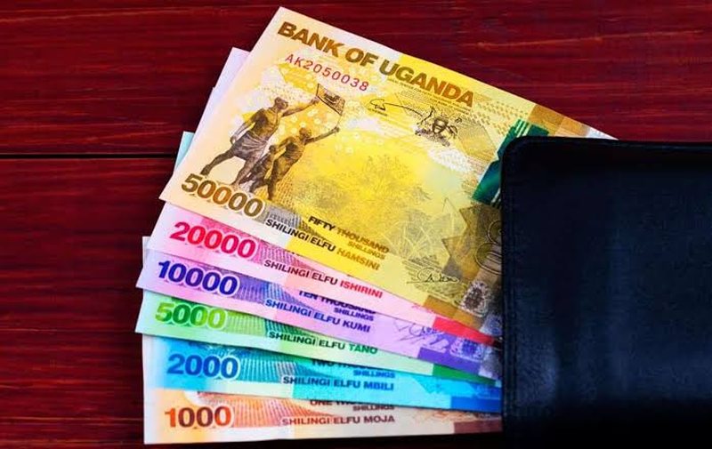 Ugandan shilling banknotes for budgeting a Rushaga sector gorilla trekking trip