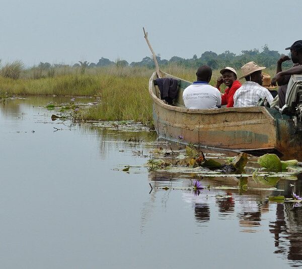 Why I Went Back to Mabamba Swamp Twice