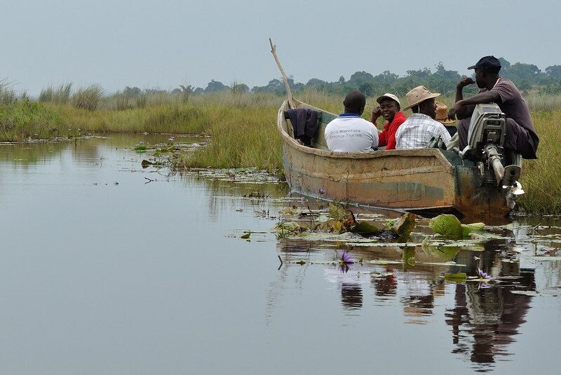 Why I Went Back to Mabamba Swamp Twice