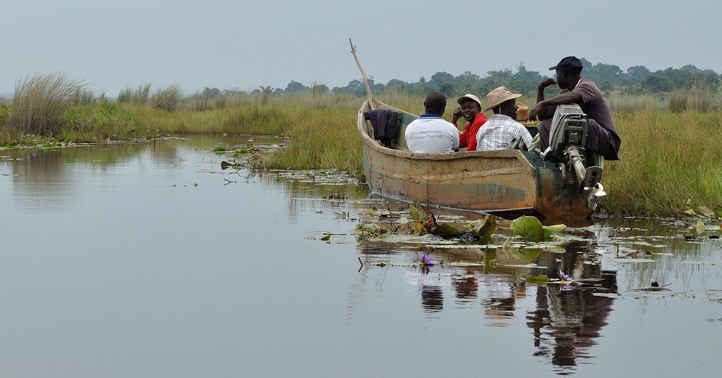 Why I Went Back to Mabamba Swamp Twice