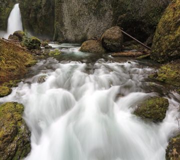 Bwindi Waterfall Trail Walk