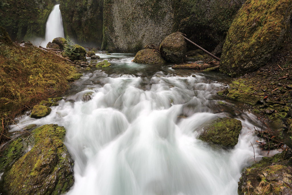 Bwindi Waterfall Trail Walk