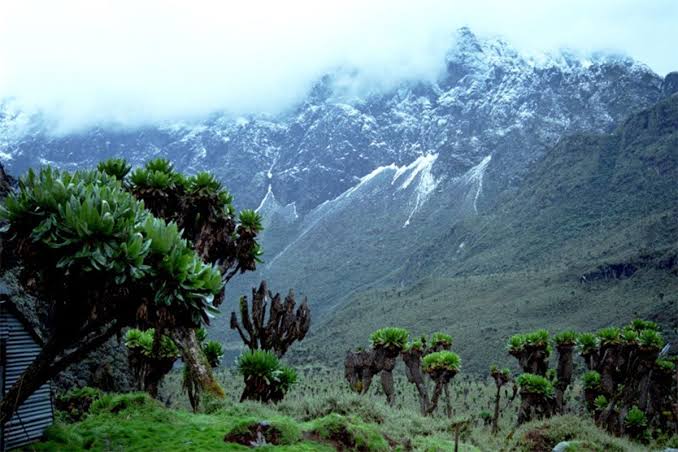 A Guide to Responsible Tourism in Mount Rwenzori