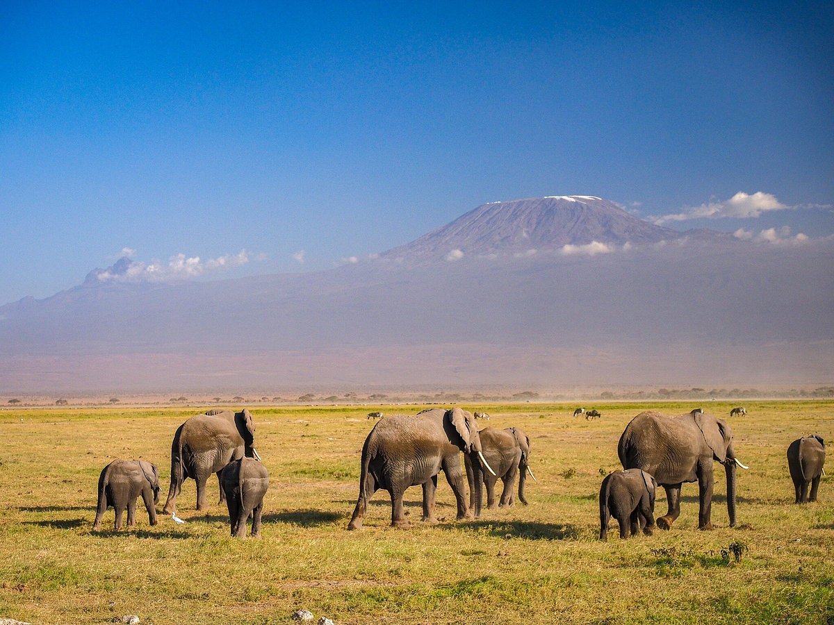 Amboseli National Park: A Complete Guide