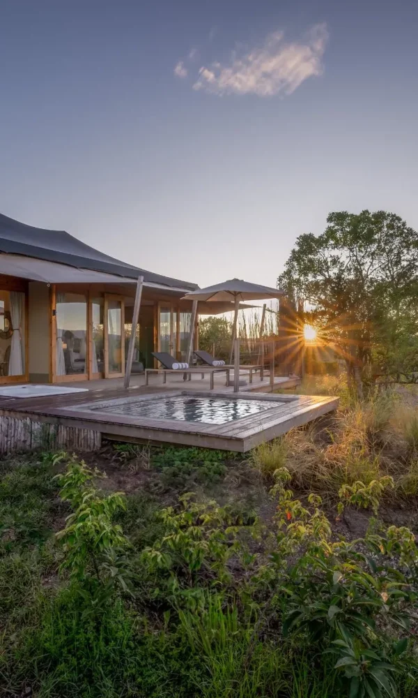Best Lion Safari Camps in the Masai Mara