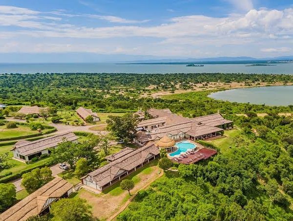 Best Lion Safari Lodges in Queen Elizabeth National Park
