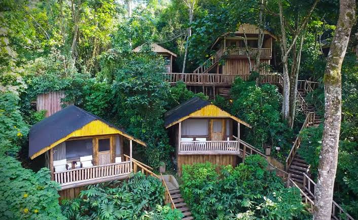 Best Lodges Near Bwindi Impenetrable National Park