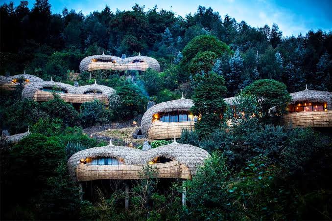 Best Luxury Gorilla Trekking Lodges in Rwanda