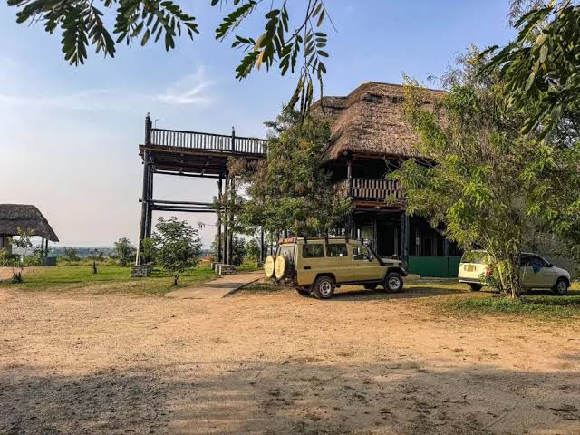 Budget Safaris vs Cultural Village Tours: Which Experience Suits You Best?