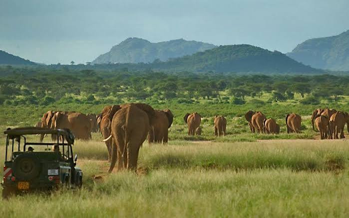 Conservation Efforts Protecting Samburu National Reserve