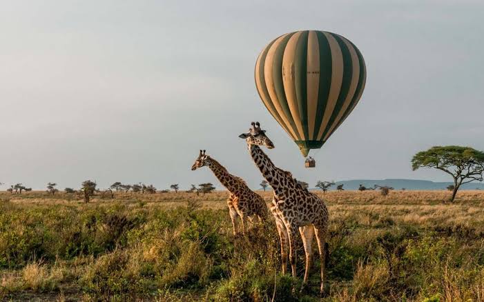 Is Hot Air Balloon Safaris in Lake Victoria Worth the Trip?
