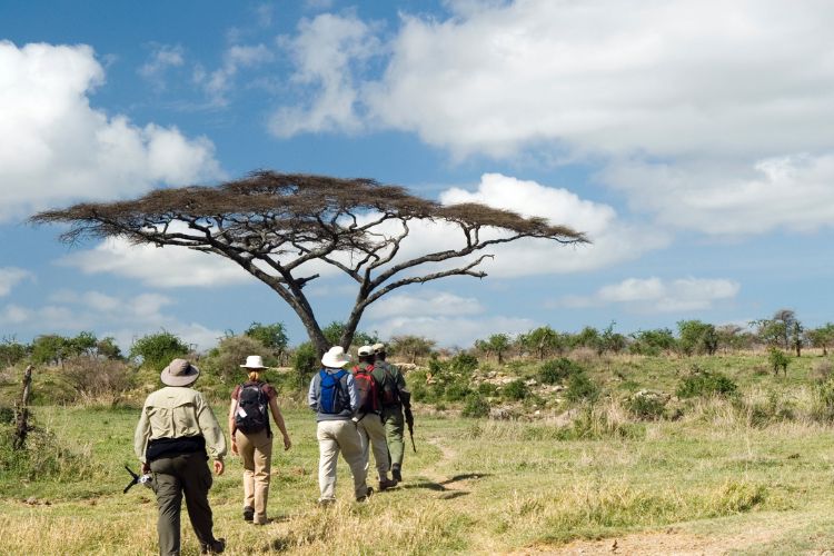 Tipping Etiquette on Safari in Kahuzi-Biega National Park