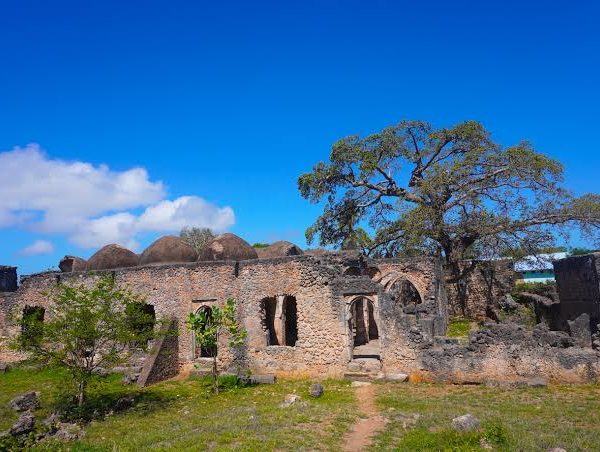 Kilwa Kisiwani: Swahili Ruins on Tanzania's Southern Coast