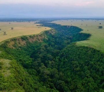Kyambura Wildlife Reserve vs Kyambura Gorge: Clearing Up the Confusion