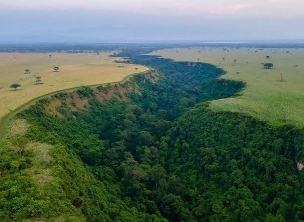 Kyambura Wildlife Reserve vs Kyambura Gorge: Clearing Up the Confusion