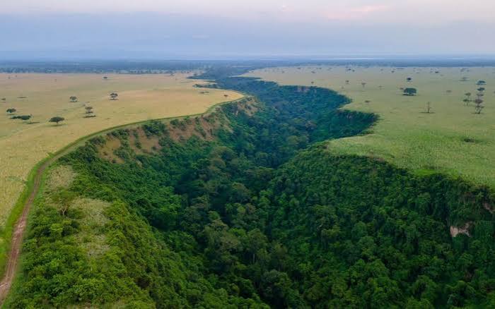 Kyambura Wildlife Reserve vs Kyambura Gorge: Clearing Up the Confusion